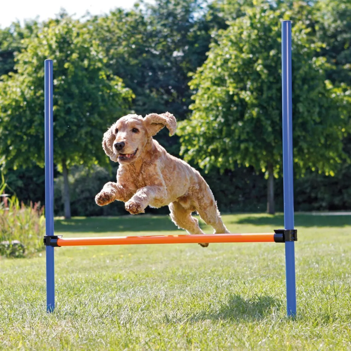 Agility aitaeste Trixie 123 x 115 cm