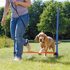Agility aitaeste Trixie 123 x 115 cm