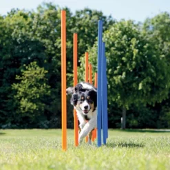 Agility pujottelueste Trixie 12 keppiä