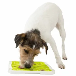 Aktivointilelu Trixie Lick'n'Snack Plate