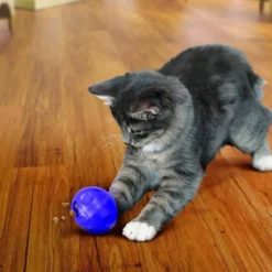 Aktivointipallo KONG Cat lila