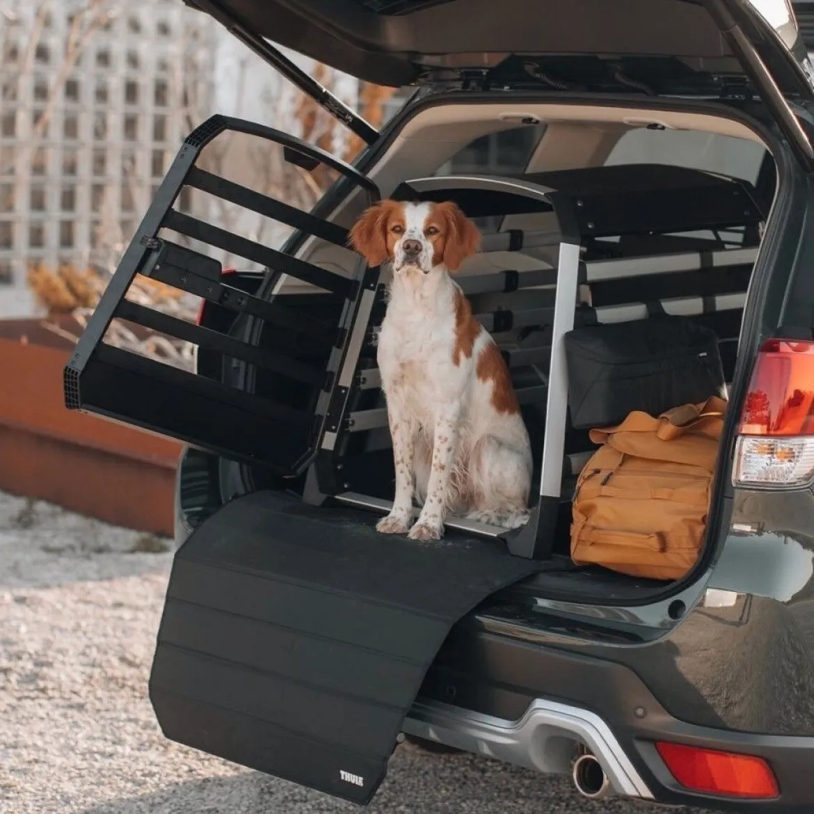 Auton puskurinsuoja Thule
