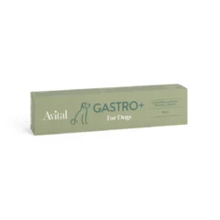Avital Gastro+