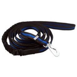 Baggen Expander leash blue