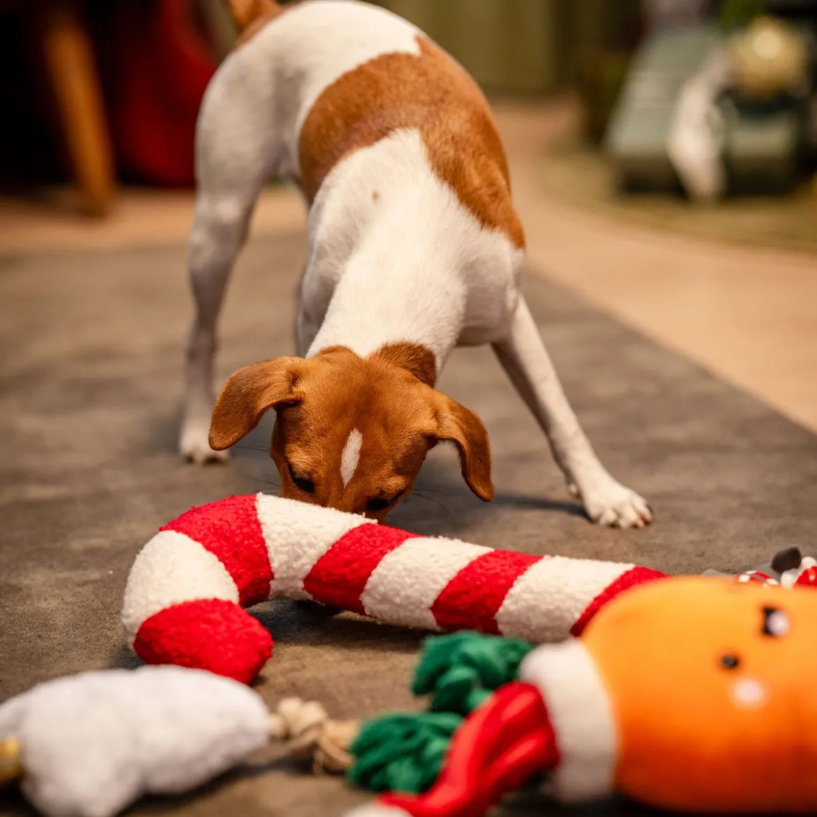 Bark-a-Boo Tufflove Holiday karkkikeppi M