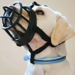 Baskerville Kuonokoppa Ultra
