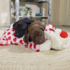 Beeztees Cuddle Toy Suki XL