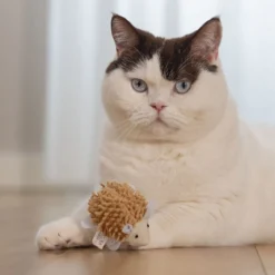 Beeztees Eco Cat Hedgehog Mozi
