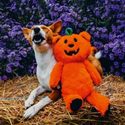Beeztees Halloween Pumpkin Bear