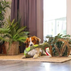 Beeztees Hide N Seek Jungle Snake