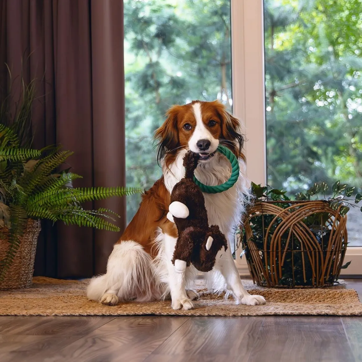 Beeztees Jungle Monkey Mats