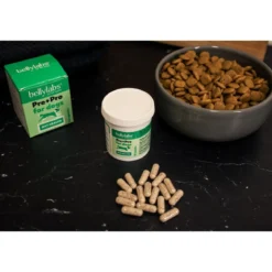 Bellylabs Pre+Pro 60 kapselia