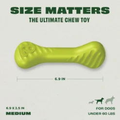 Benebone Bounce Bone