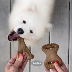 Benebone 2 kpl - Dental Chew/Wishbone Bacon Tiny