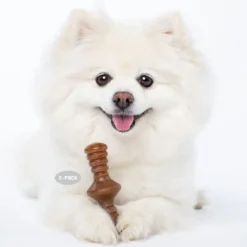 Benebone 2 kpl - Maplestick/Zaggler Bacon Tiny