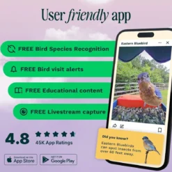 Bird Buddy -lintulauta kameralla