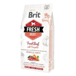Brit Fresh Beef&Pumpkin PuppyLarge
