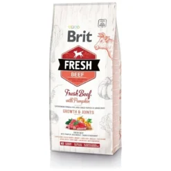 Brit Fresh Beef&Pumpkin PuppyLarge