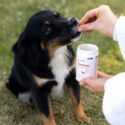 BuddyCare Probiotic 150 g