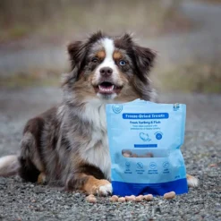 Buddy Freeze-dried kalkkuna & kala 100 g