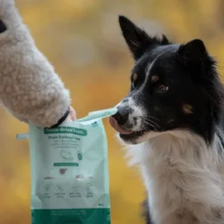 Buddy Freeze-dried kalkkuna & tonnikala 100 g