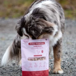 Buddy Freeze-dried kana 100 g