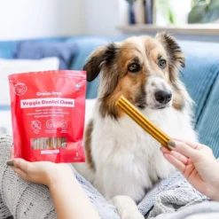 Buddy GF Veggie Dental Chew M