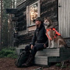Cerberos Tactical valjaat koiralle, Rescue Orange