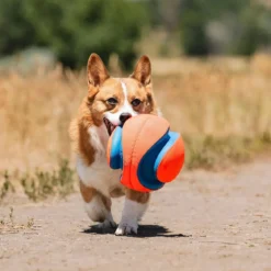 Chuckit Kick Fetch -jalkapallo