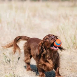 Chuckit Ultra Ball 2 kpl