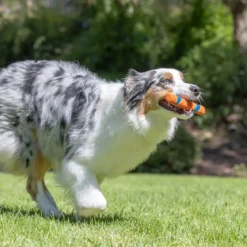 Chuckit Ultra Fetch Stick