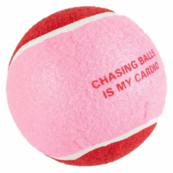 Coockoo CHASE ME XL-pallo, punainen-pinkki