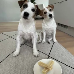 Effe Chews juustopuruluu koiralle