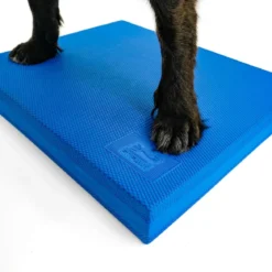 FitPaws Balance Pad, 38 x 46 x 5 cm