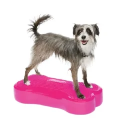 FitPaws K9FitBone, 58 x 29 x 10 cm