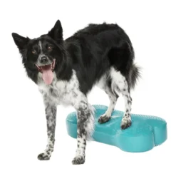 FitPaws K9FitBone, 58 x 29 x 10 cm