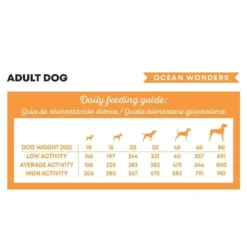 Harper and Bone Dog Adult Medium/Large Ocean Wonders
