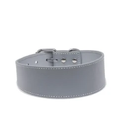 Heijastava panta Collar of Sweden