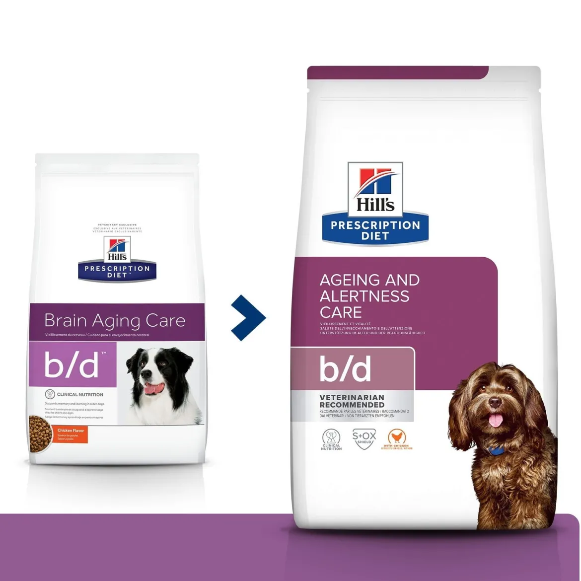 Hill´s canine b/d Aging Care 12 kg