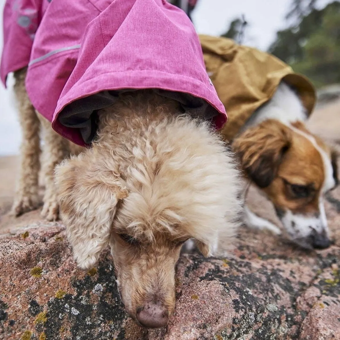 Hurtta Monsoon II Eco koiran sadetakki, punainen