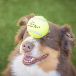 Hyper Pet Tennispallot 4 kpl