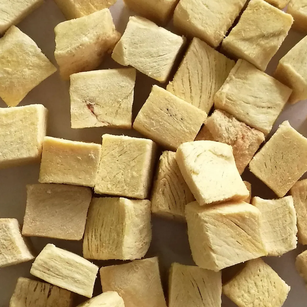 ItsyBitsy FD Kana kissalle