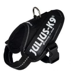 Julius-K9® IDC Power valjaat Mini, musta