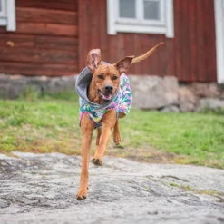 KevytPomppa valjasaukolla, Trail