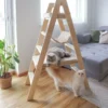 Kissan tikkaat Kerbl Ladder