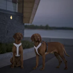 Koiran heijastinvaljaat FA Reflective, musta