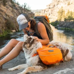 Koiran reppu Ruffwear Approach Pack, oranssi