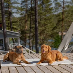 Koirien viilennysalusta Basic Cool