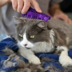 KONG Cat ZoomGroom