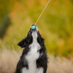 Kosketuskeppi Pro Dog Target telesk.